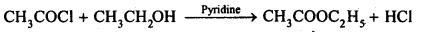 Aldehydes Ketones Carboxylic acids: Ncert Solution Free Pdf Download For 12th 