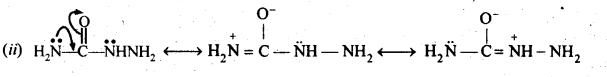 Aldehydes Ketones Carboxylic acids: Ncert Solution Free Pdf Download For 12th 