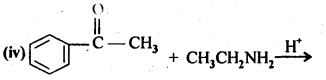 Aldehydes Ketones Carboxylic acids: Ncert Solution Free Pdf Download For 12th 