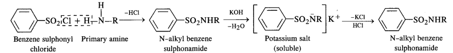 Organic Compounds Containing Nitrogen: Free Download Pdf Solution 