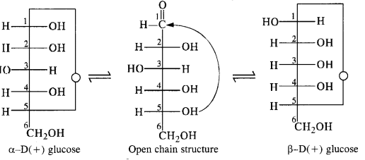 Ncert solution of Biomolecules: Free Pdf Download Class 12th 