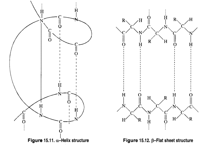 Ncert solution of Biomolecules: Free Pdf Download Class 12th 