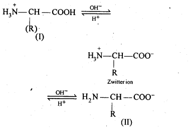 Ncert solution of Biomolecules: Free Pdf Download Class 12th 