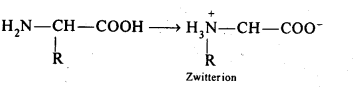 Ncert solution of Biomolecules: Free Pdf Download Class 12th 