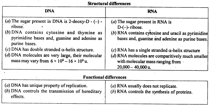 Ncert solution of Biomolecules: Free Pdf Download Class 12th 