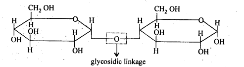 Ncert solution of Biomolecules: Free Pdf Download Class 12th 