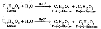 Ncert solution of Biomolecules: Free Pdf Download Class 12th 