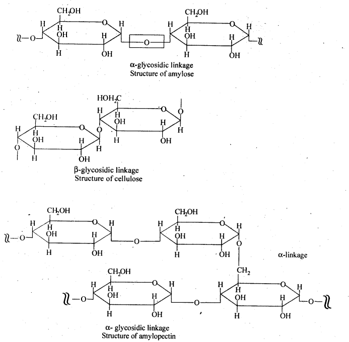 Ncert solution of Biomolecules: Free Pdf Download Class 12th 