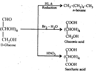 Ncert solution of Biomolecules: Free Pdf Download Class 12th 