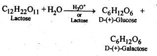 Ncert solution of Biomolecules: Free Pdf Download Class 12th 