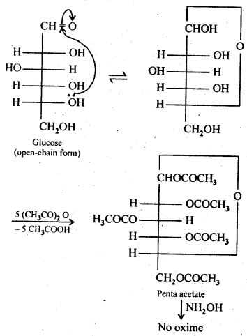 Ncert solution of Biomolecules: Free Pdf Download Class 12th 