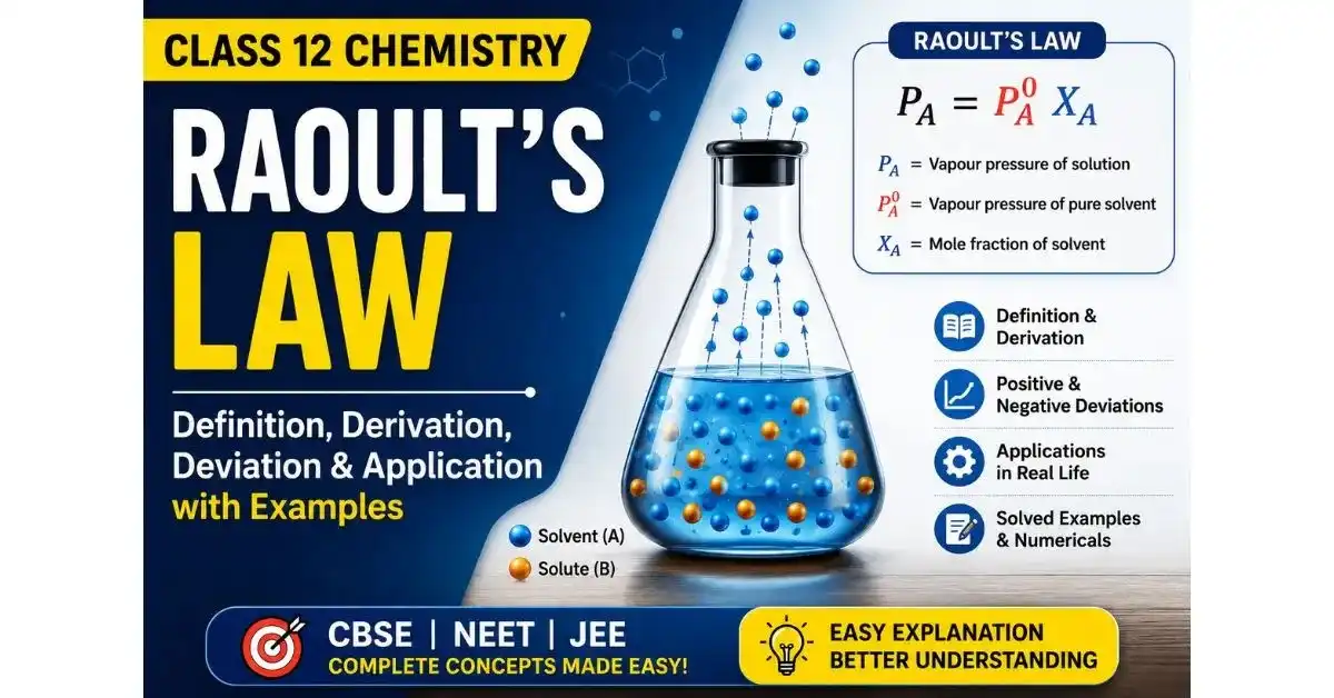 Raoult's Law Class 12: Definition, Derivation & Applications