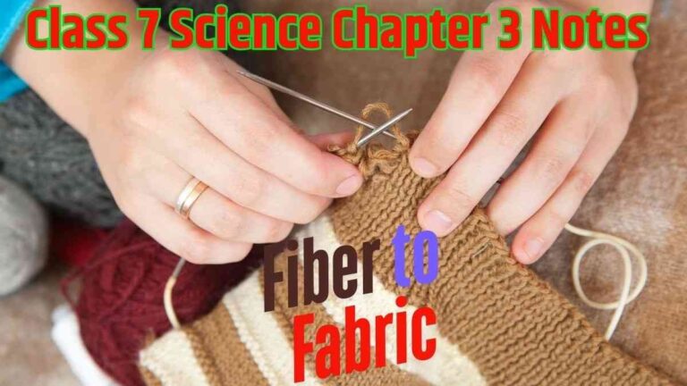 Fiber to Fabric – Class 7 Science Chapter 3 Notes (NCERT) | Detailed Explanation