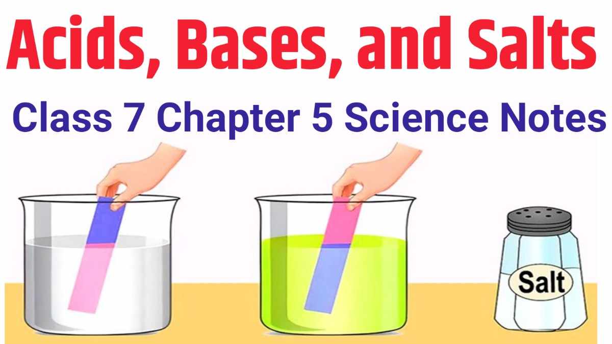 Acids, Bases, and Salts – Class 7 Chapter 5 Science Notes