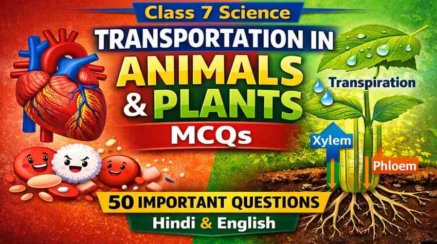 Class 7 Transportation in Animals and Plants MCQs | 50 Questions Hindi English