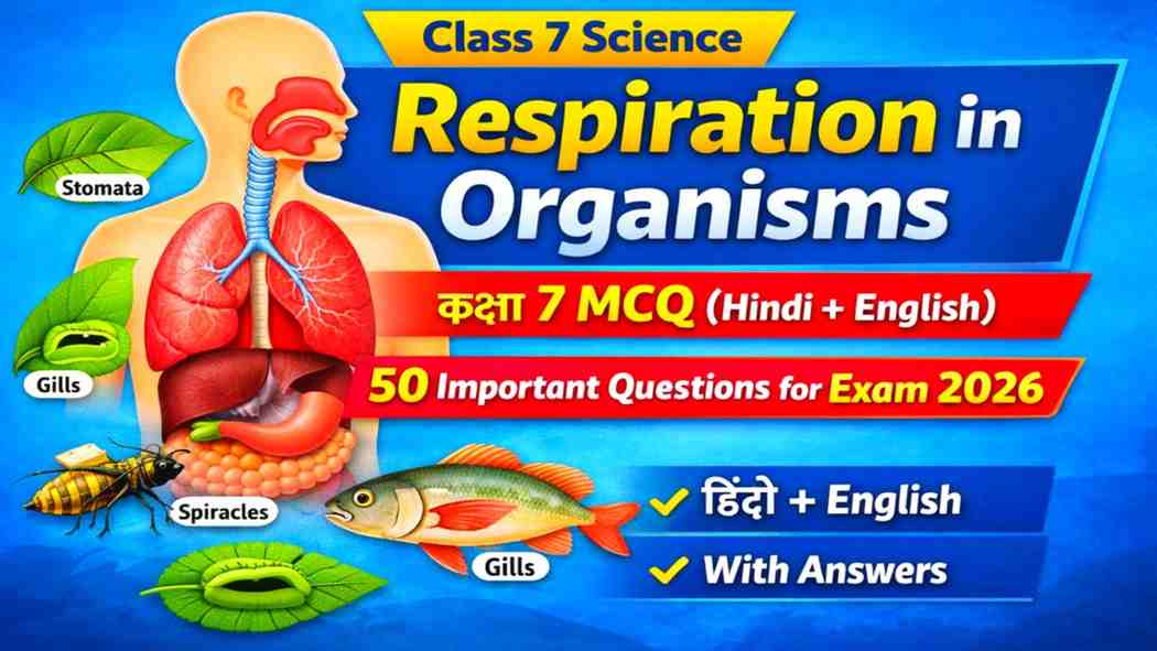Respiration in Organisms Class 7 MCQ (Hindi + English) | 50 Important Questions with Answers