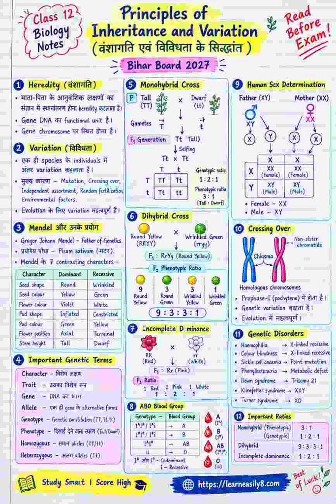 Principles of Inheritance and Variation Class 12 Biology Notes in Hindi