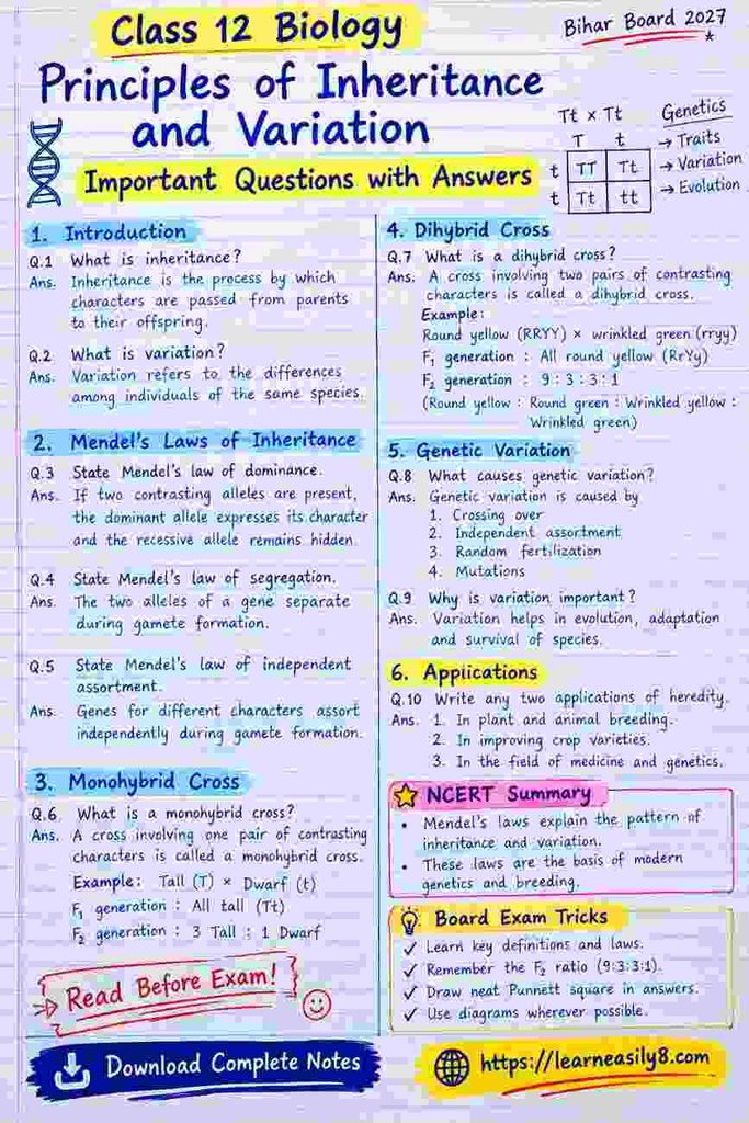 Principles of Inheritance and Variation Class 12 Important Questions with Answers