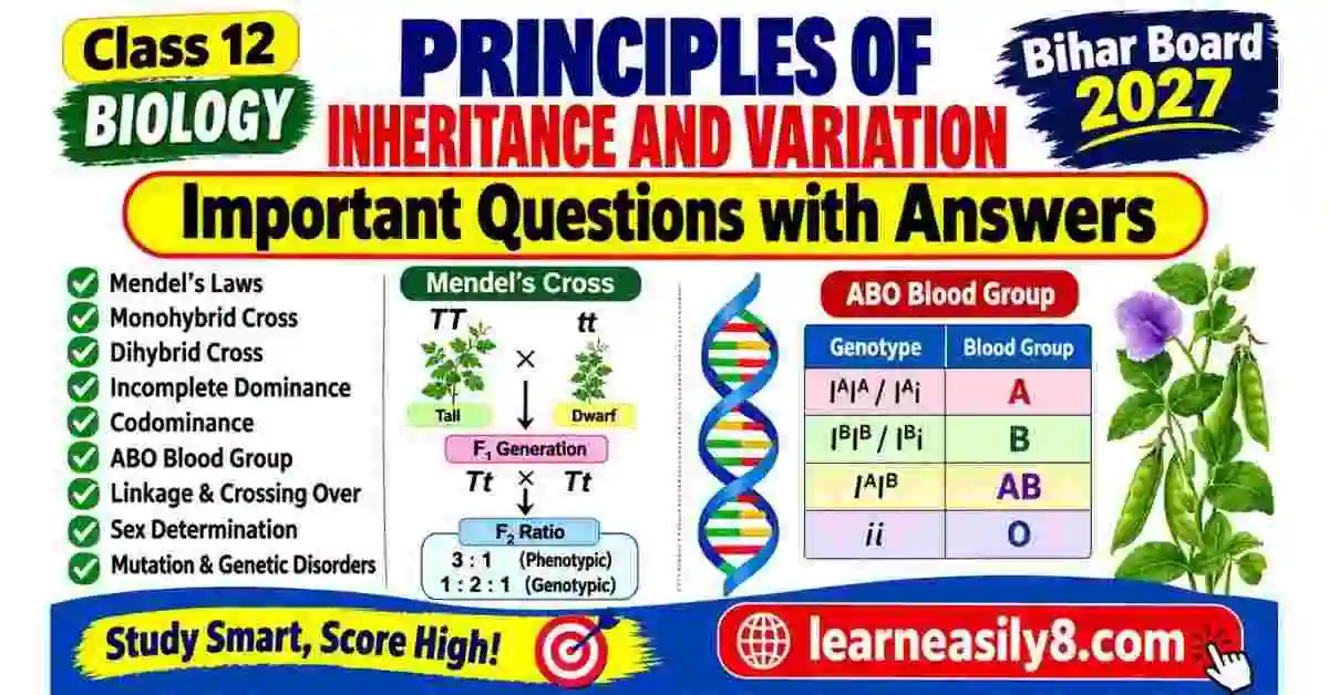 Principles of Inheritance and Variation Class 12 Important Questions with Answers