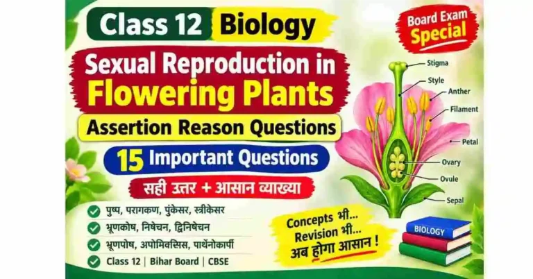 Sexual Reproduction in Flowering Plants Assertion Reason | Class 12