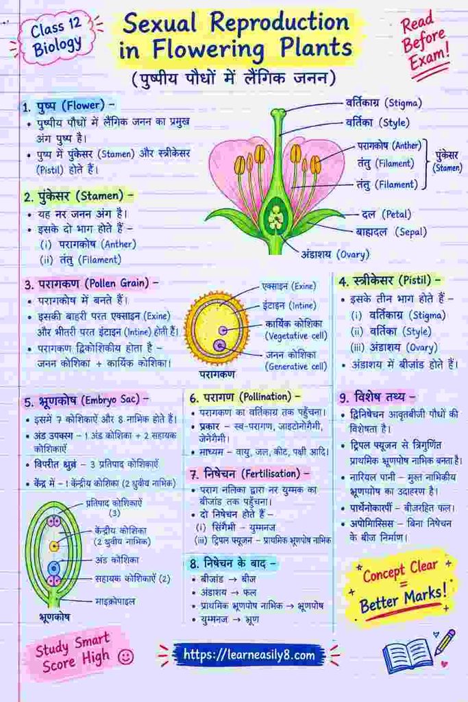 Sexual Reproduction in Flowering Plants Assertion Reason | Class 12