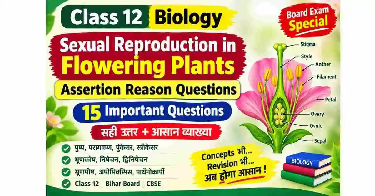Sexual Reproduction in Flowering Plants Assertion Reason | Class 12