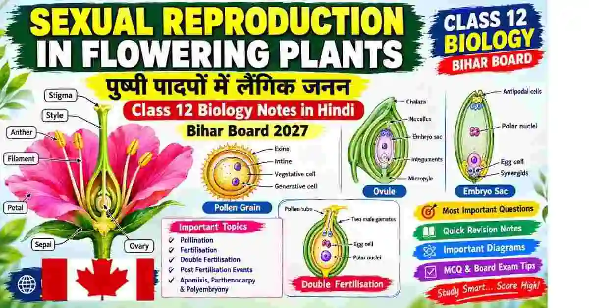 Sexual Reproduction in Flowering Plants Class 12 Notes Hindi | Bihar Board 2027