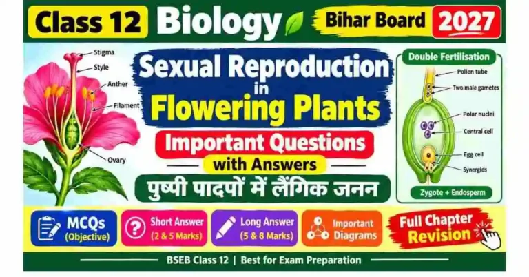 Sexual Reproduction in Flowering Plants Class 12 Important Questions | Bihar Board 2027