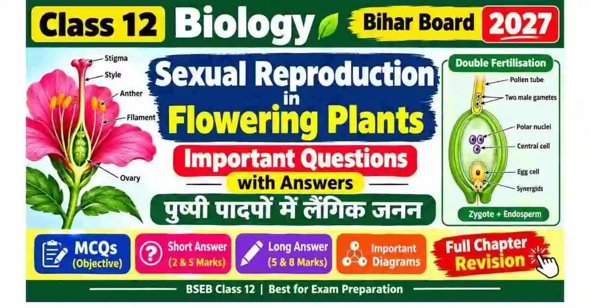 Sexual Reproduction in Flowering Plants Class 12 Important Questions | Bihar Board 2027