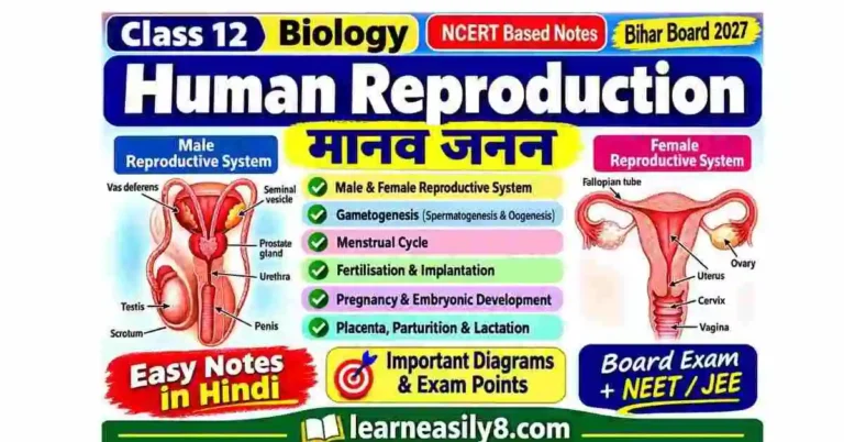 Human Reproduction Class 12 Biology Notes in Hindi